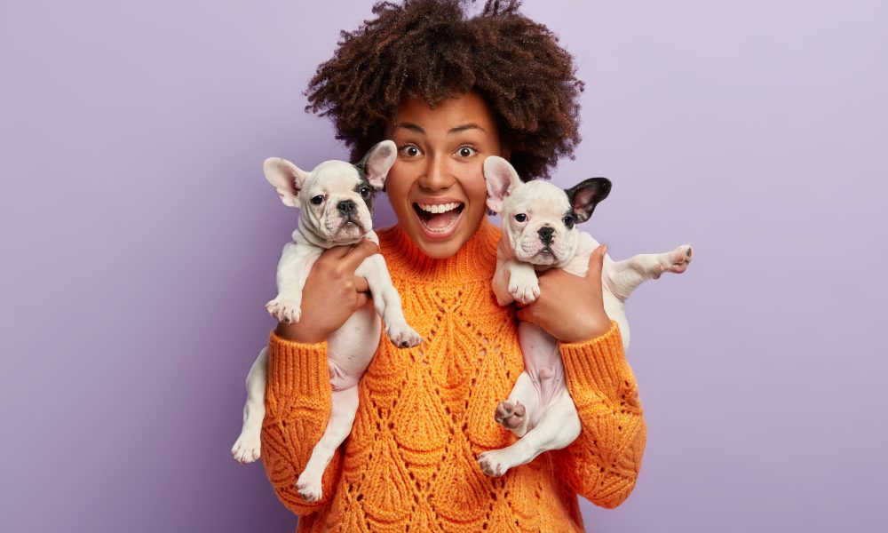 Pet Shops vendem mais com IA e automação (Guia 2026)