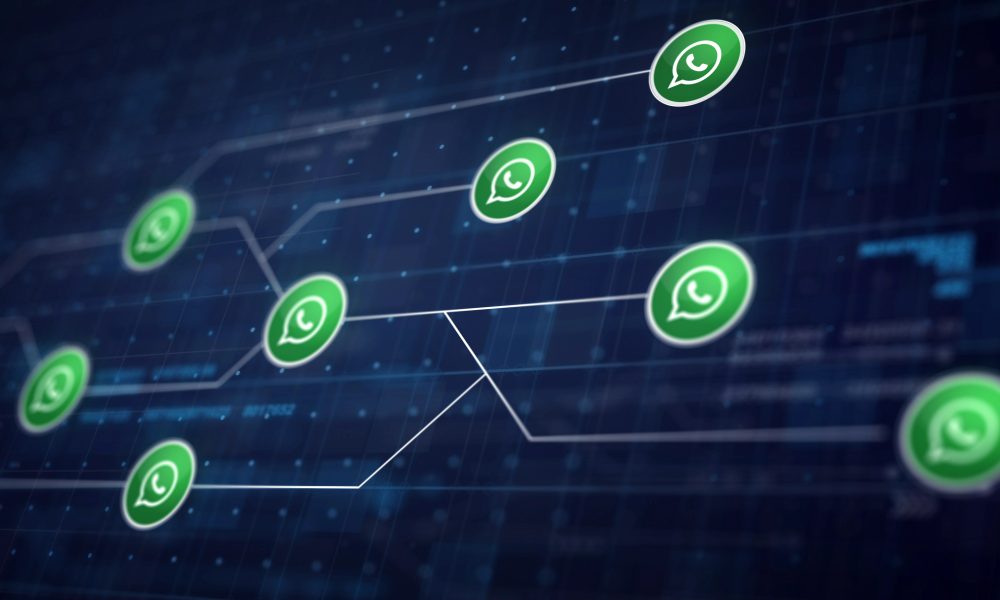 Descubra como evitar o banimento e o bloqueio do whatsapp business